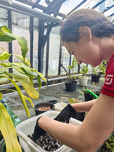 Участники студенческих строительных отрядов осваивают рабочую профессию «Садовник»